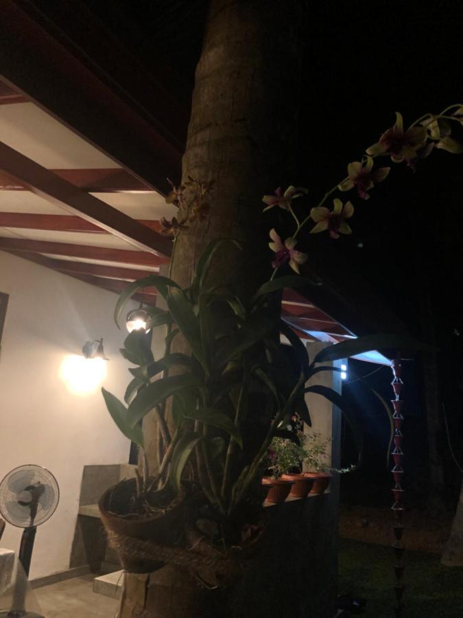 Lohas Villa Hiriketiya ดิคเวลลา ภายนอก รูปภาพ