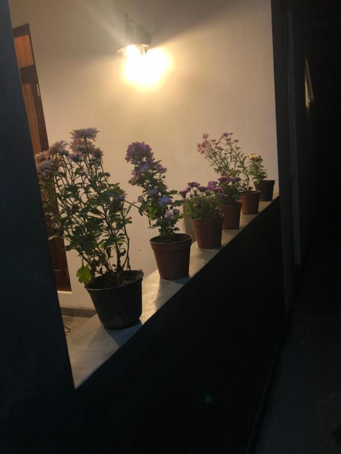Lohas Villa Hiriketiya ดิคเวลลา ภายนอก รูปภาพ