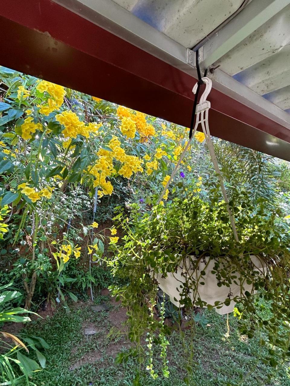 Lohas Villa Hiriketiya ดิคเวลลา ภายนอก รูปภาพ