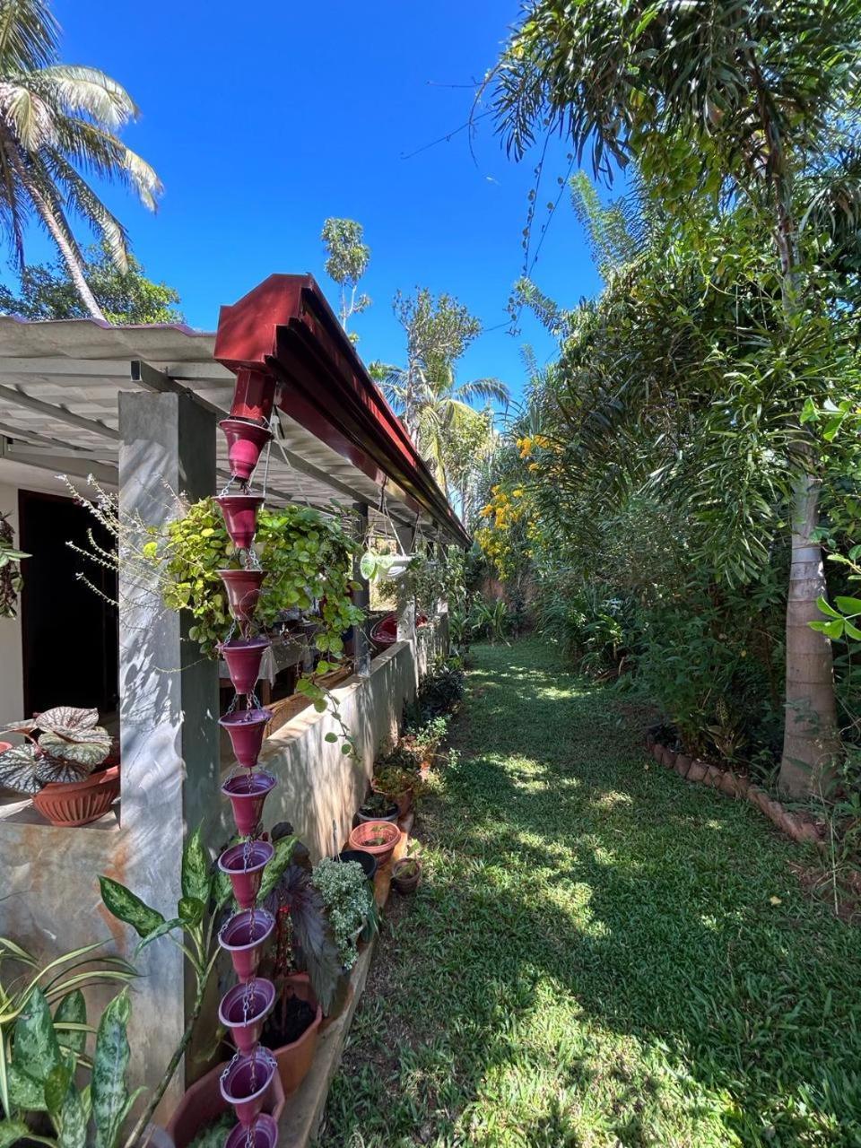 Lohas Villa Hiriketiya ดิคเวลลา ภายนอก รูปภาพ